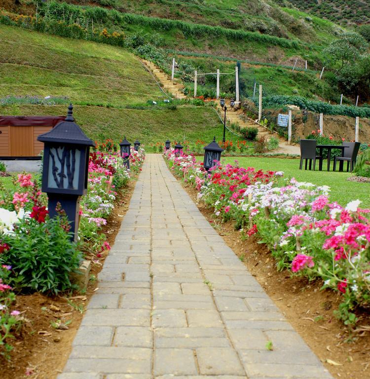 Serene Villa Nuwara Eliya Bagian luar foto